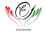 logo tehetsegpontvagasra